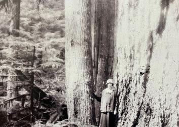 Jean Catherine Greenlees with an old growth Doug Fir at the original Federation Forest State Park