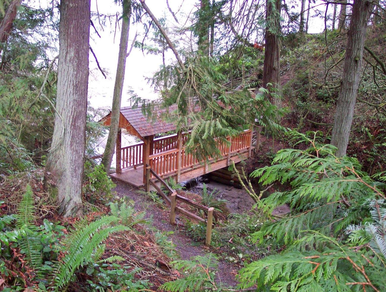 Covered pedestrian bridge sits in a stand of forest.