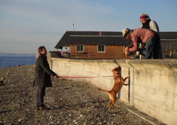 A dog stands on its hind legs along a breakwater to see another dog as three owners have them on leash.