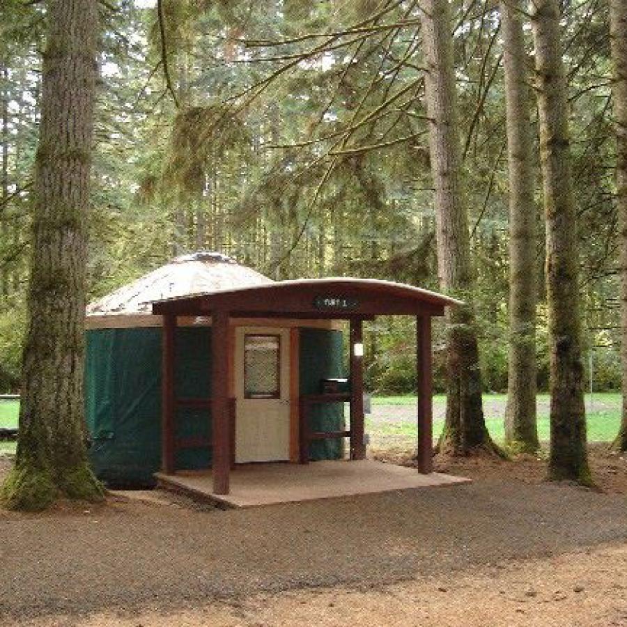 Seaquest Yurt with porch surrounded by tall trees in the shade
