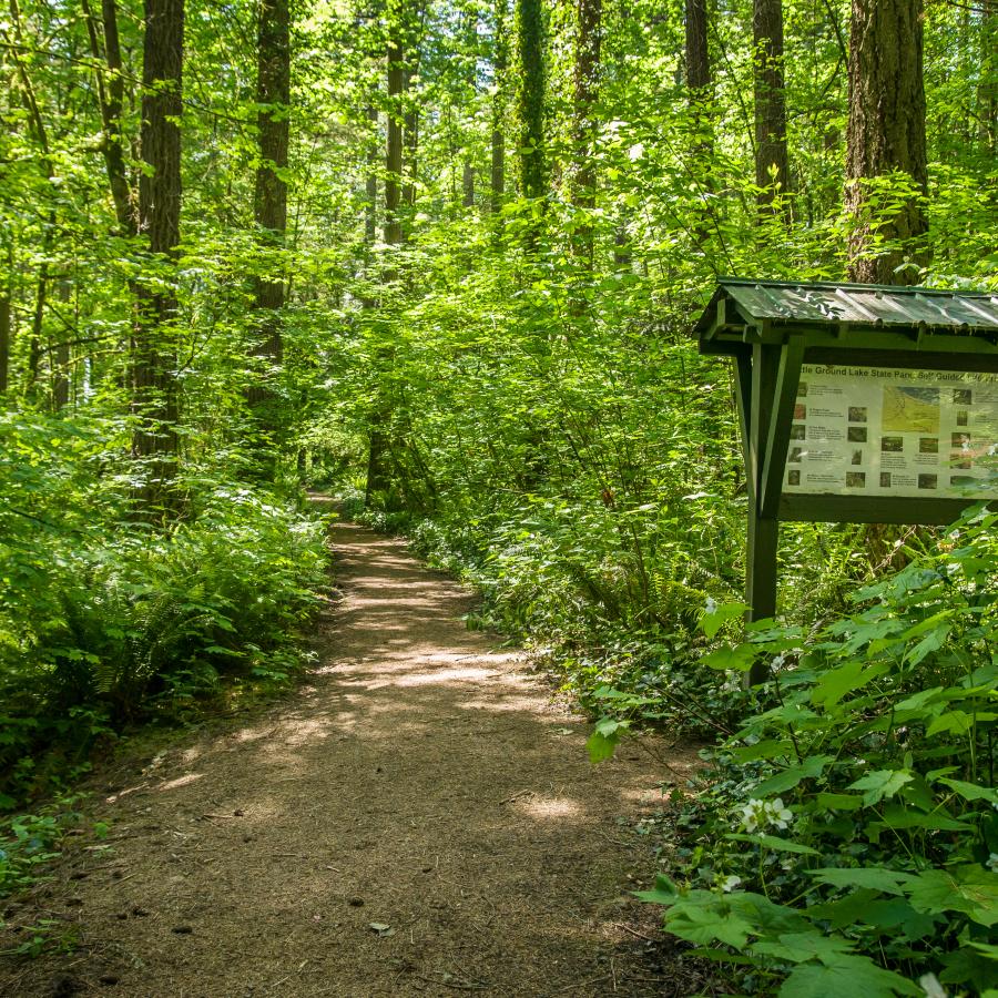 A hiking trail with an information board at Battle Ground Lake State Park.