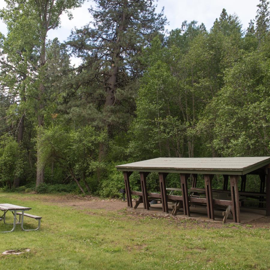 picnic area with tables green grass and sheltered picnic tables