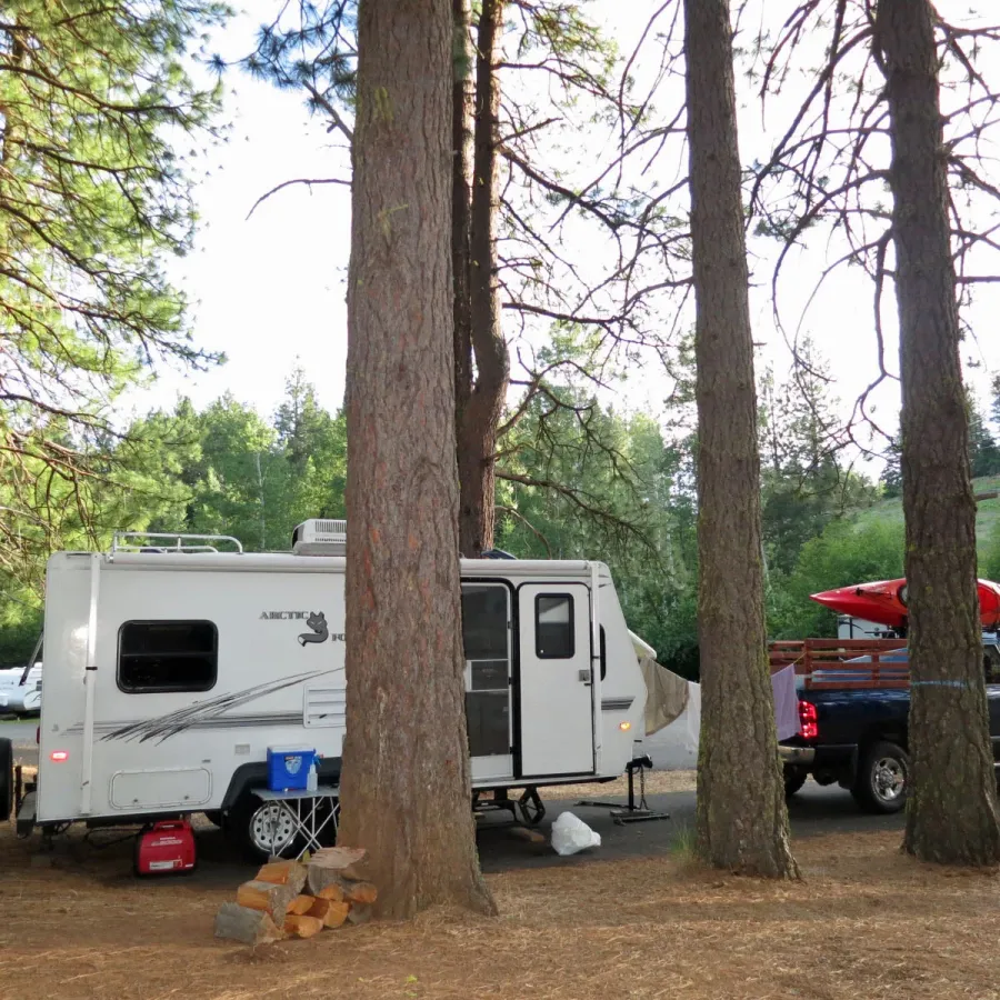Truck and Camper parked on primitive campsite between tall pine trees