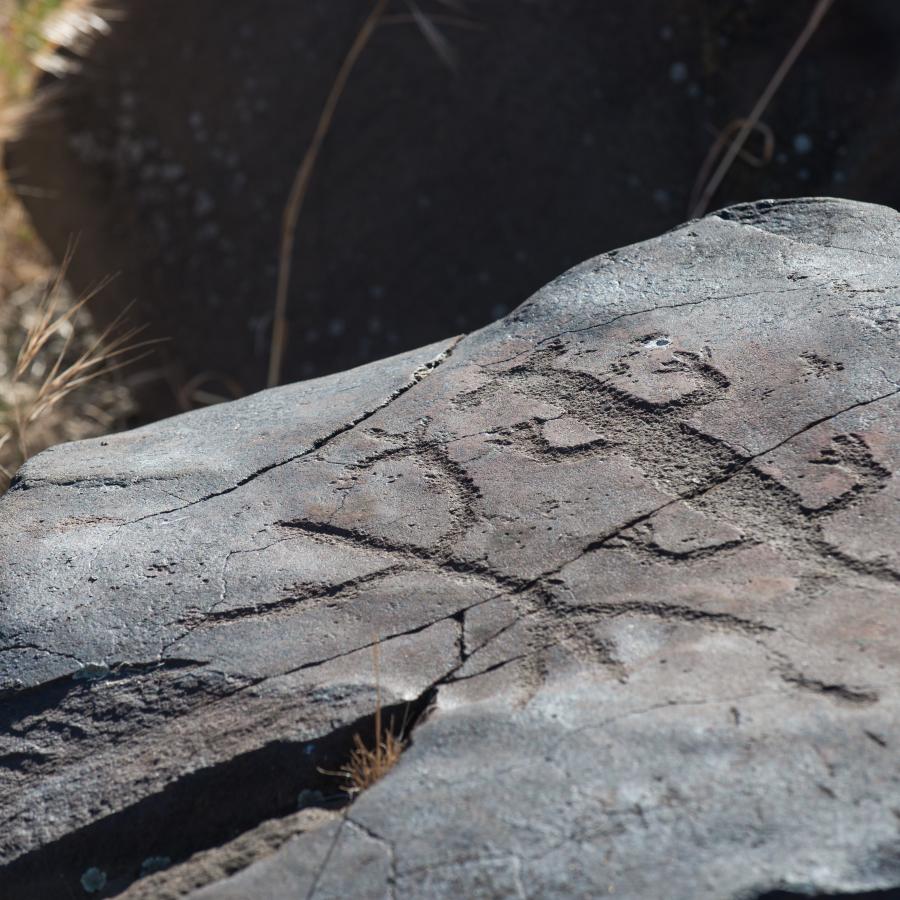 petroglyphs on fallen rock