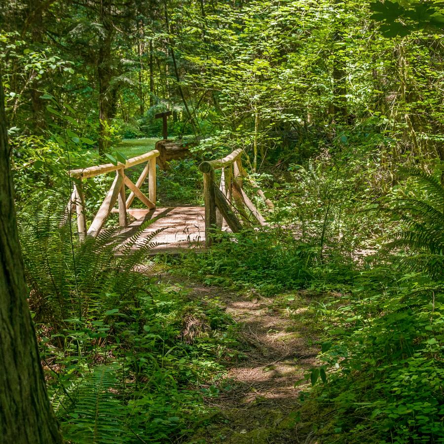 Lewis & Clark wooded trail footbridge across creek