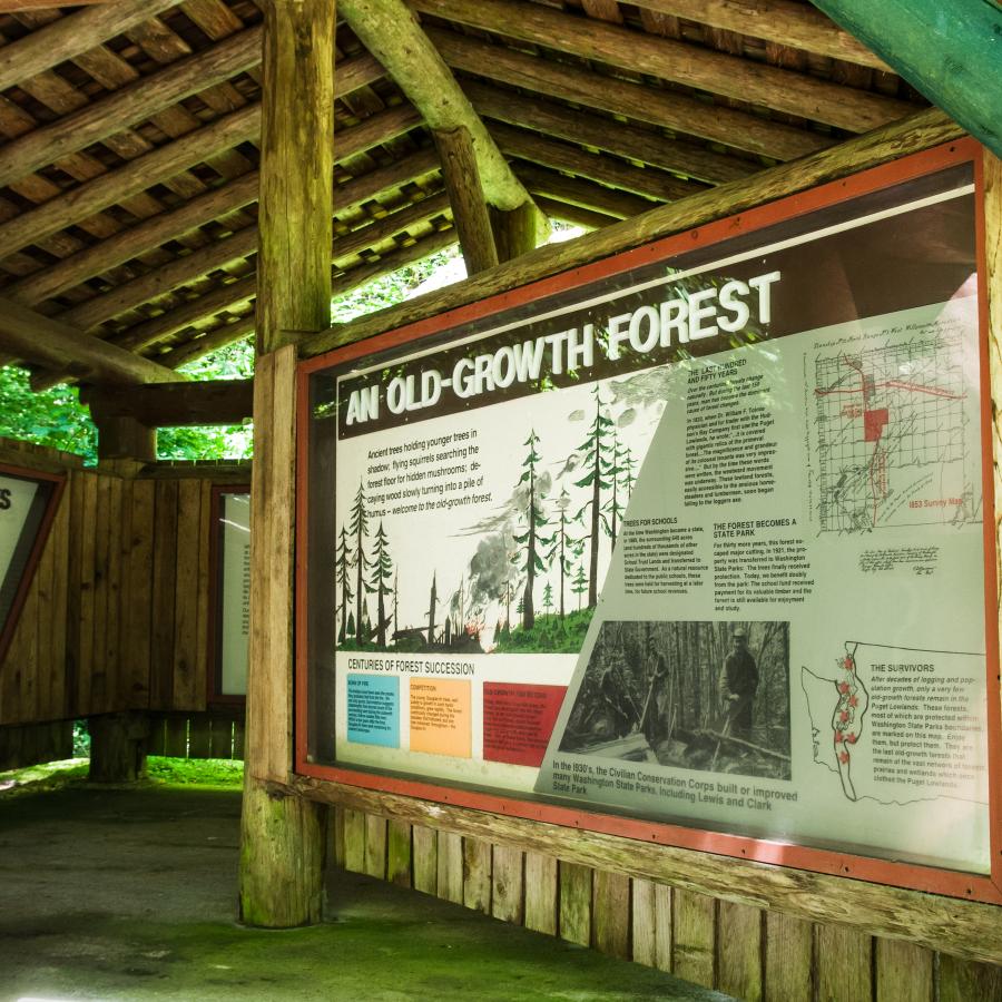 Lewis & Clark Interpretive Signs sharing history and information of an old growth forest