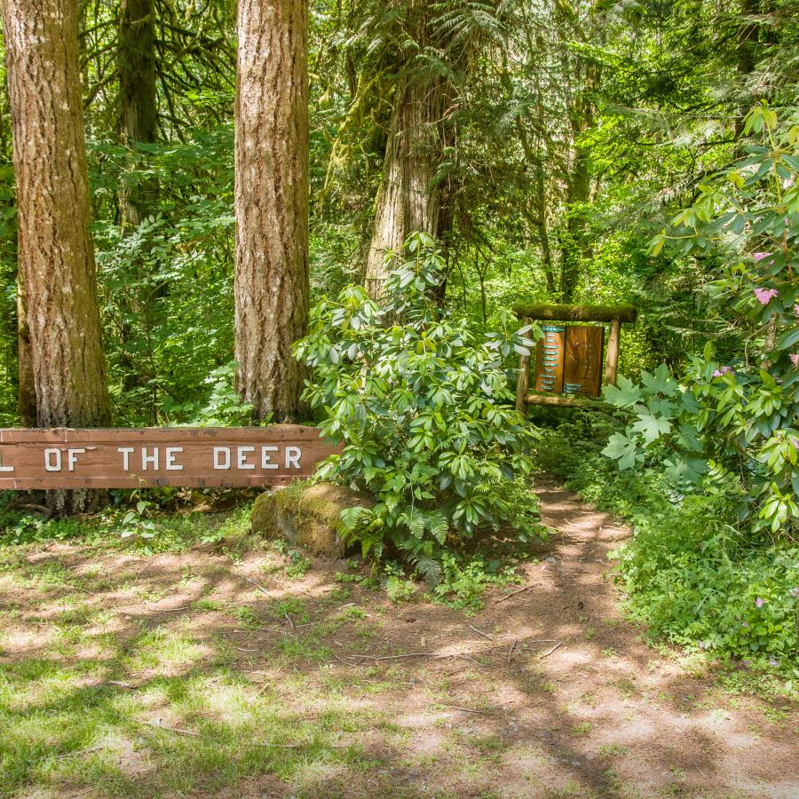 Lewis & Clark sign "Trail of the Deer" at entrance to wooded walking trail