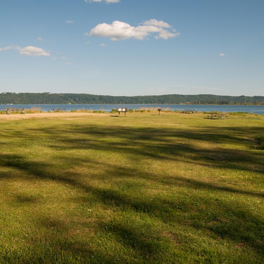 large open field along the lake shore for picnicing