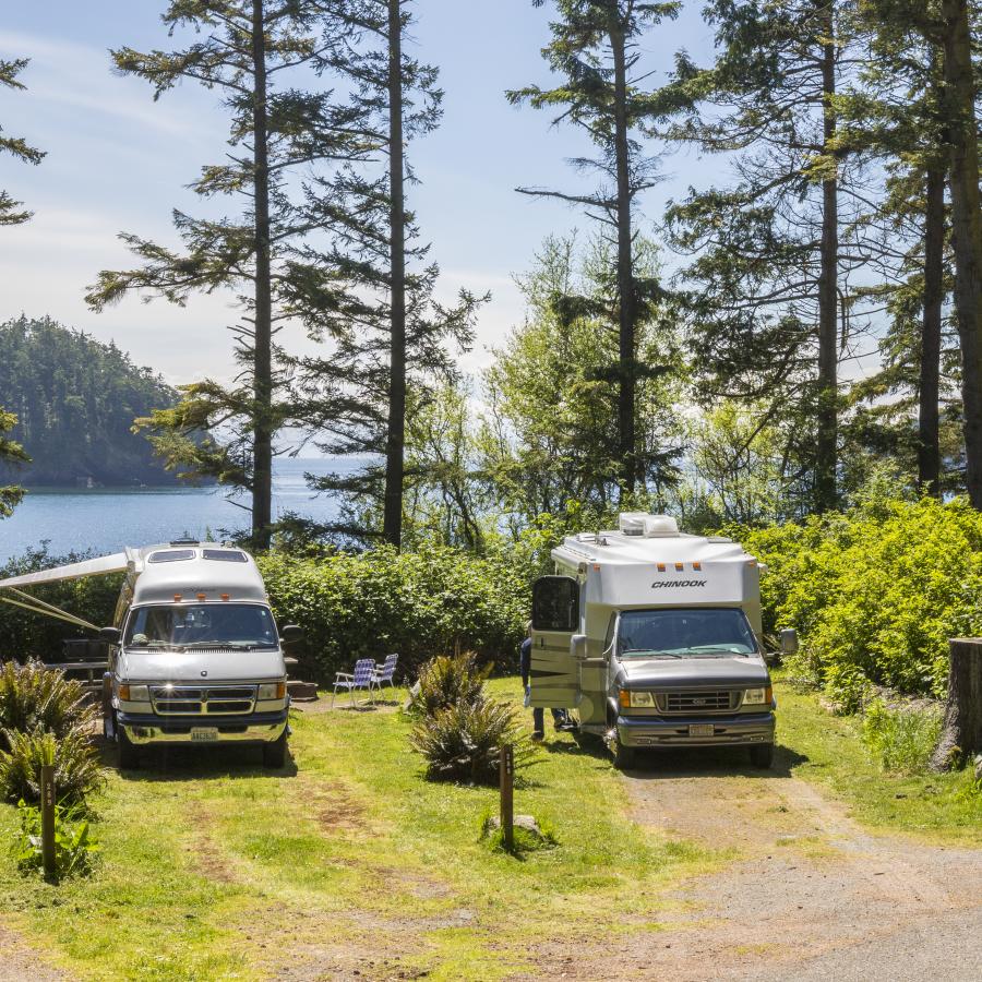 RVs in campsites on a sunny day in the forest