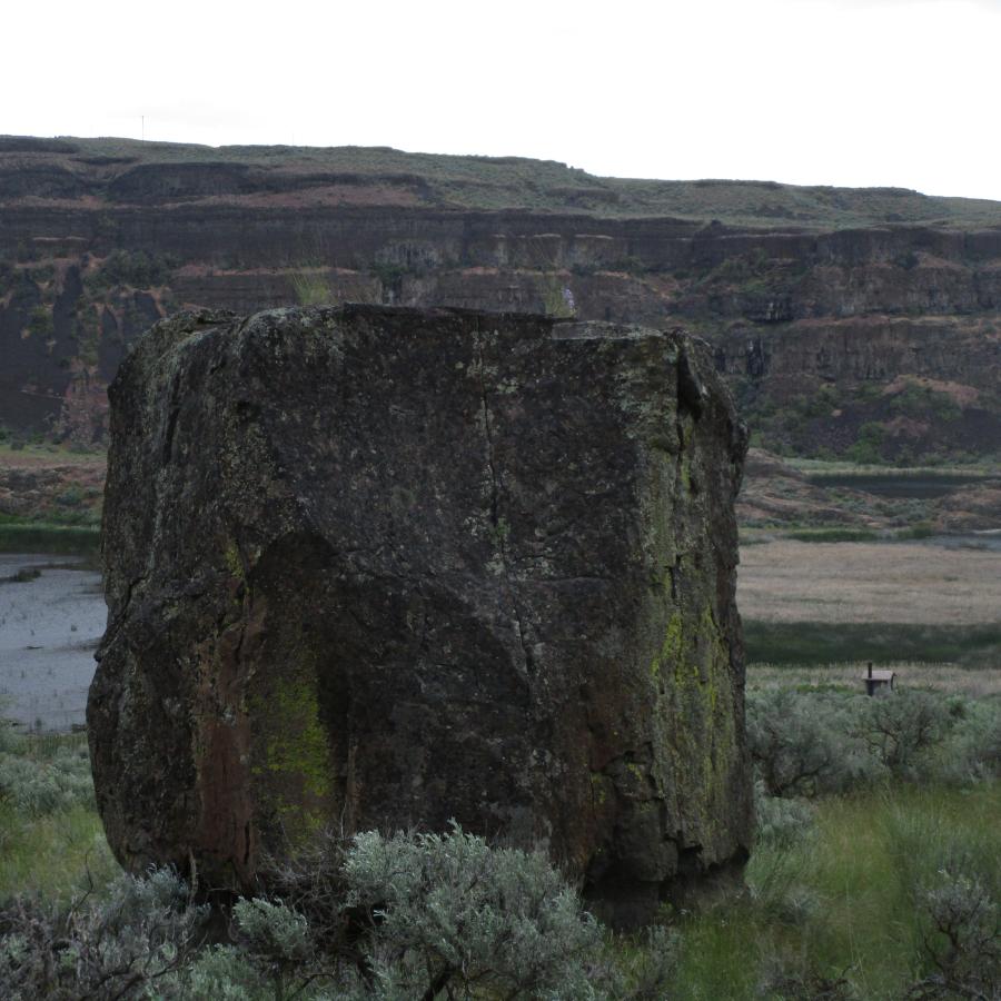 Giant boulder surrounded by green desert plants with tall basalt cliffs