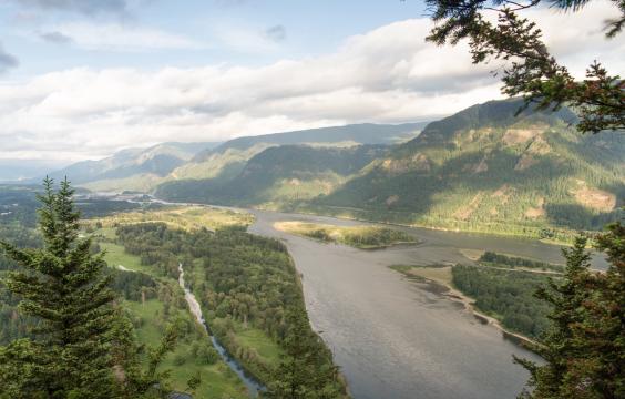 A road runs through the wide Columbia River Valley. Evergreens frame the right and left foreground while green rolling hills rise on either side of the river. A blue sky with wide swaths of white clouds is overhead.