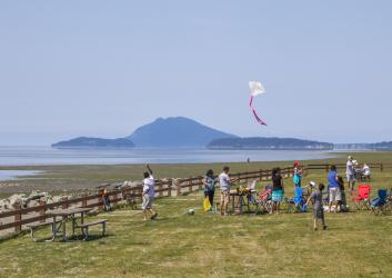 A group of kids and adults on a grassy lawn, lined with a wooden fence, prepare to fly kites in the wind. One kite is flying with a white cover and pink tail. The low tide water and islands are in the background.