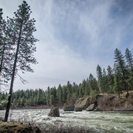 A large river rapid on a partly cloudy day with tall trees on each bank and a large rock sticking out of the middle of the water.