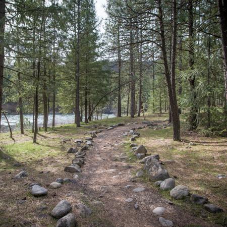 A dirt hiking path along the Spokane River is lined with small rocks and leads through the forest.