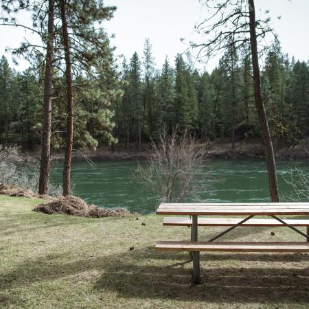 A wood picnic table sits on the bank of the Spokane River with two Canada Geese nearby.