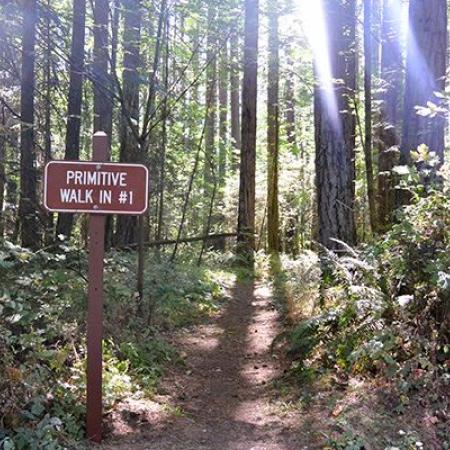 Primitive trail sign showing the way to the hiking trail