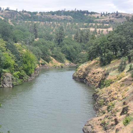 A river runs through a wide canyon with trees and grasses along the hillsides.