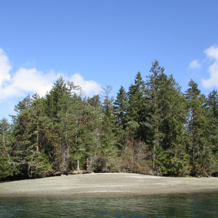 Eagle Island water view trees pudget sound