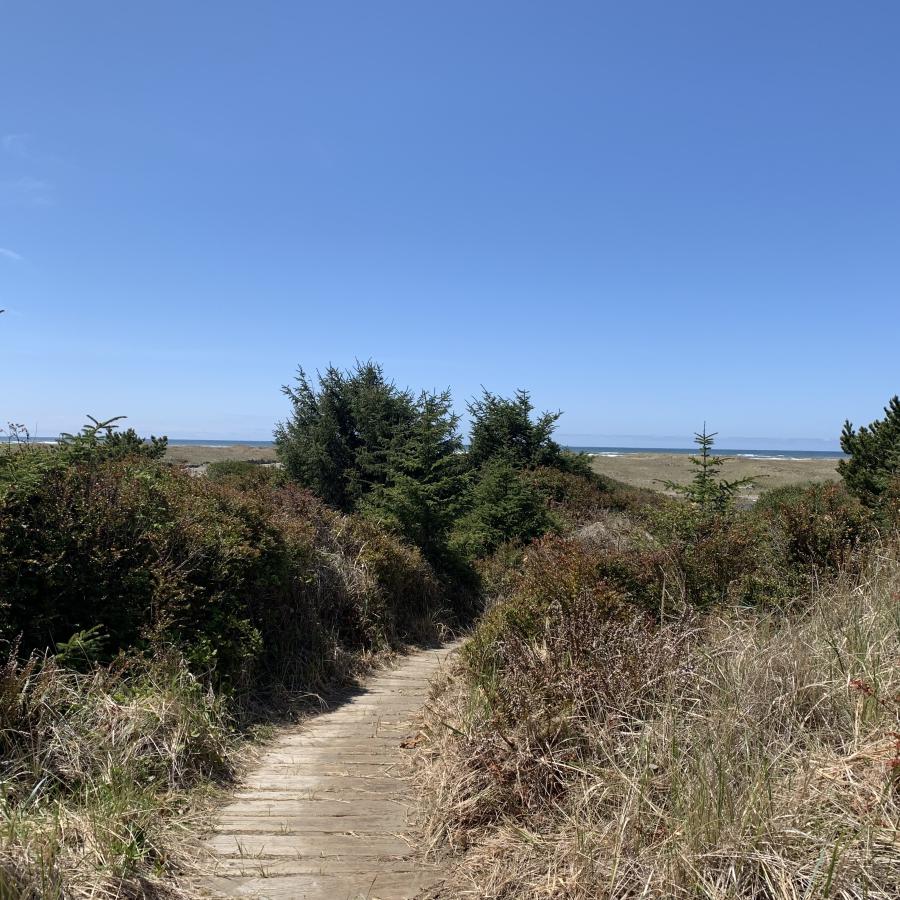 Griffiths-Priday boardwalk trail to beach