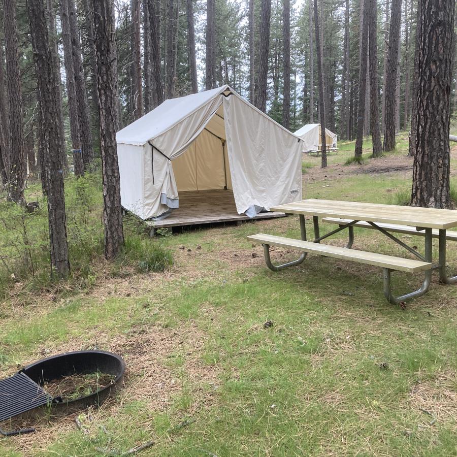 Brooks Memorial Wall Tent 2 with picnic table and firepit
