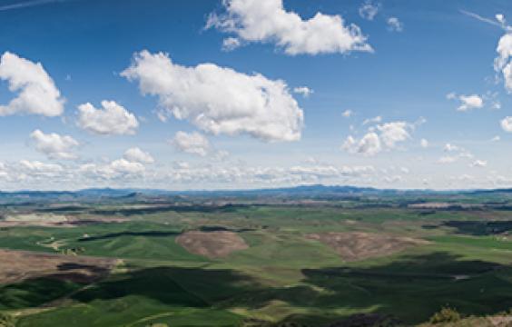 View from top of Steptoe Butte, parking lot with RV below then farther out is landscape of grassy hills and clouds in the sky on a sunny day